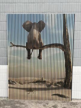 Printing elephant acoustic slat wall panel