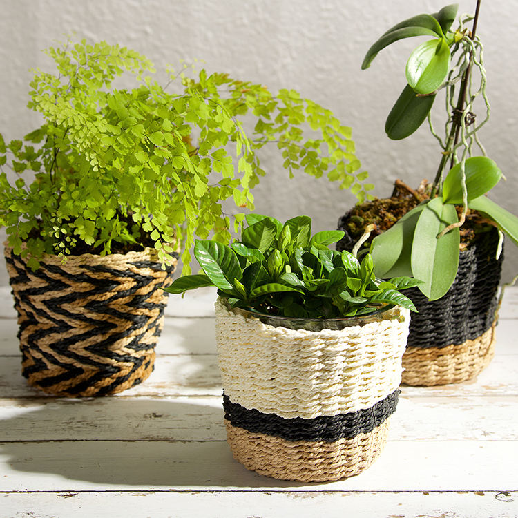 vidro embrulhado em vime rattan wrapped glass