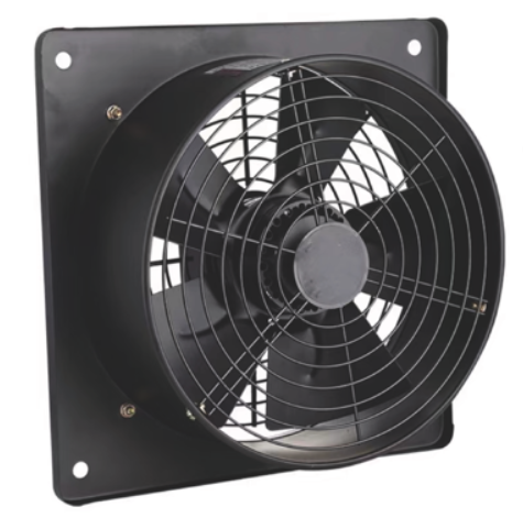 Crown AC Front and Back Circle
