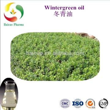 Methyl salicylate wintergreen oil Methyl salicylate