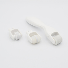 0.25mm Finer 3 in 1 Mesotherapy Roller Kit