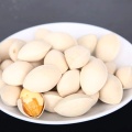 High concentration 100:1 white fruit powder