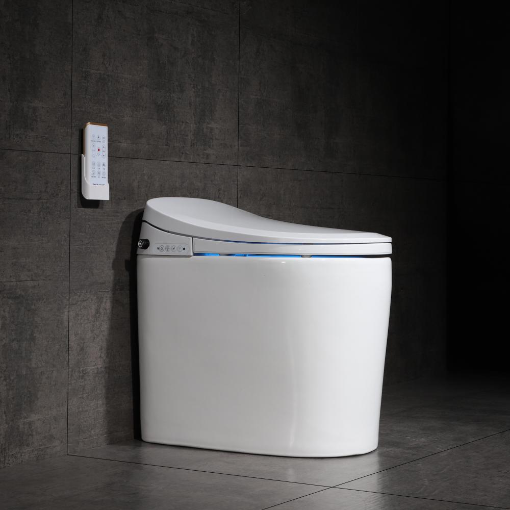 6102 4 Smart Toilet