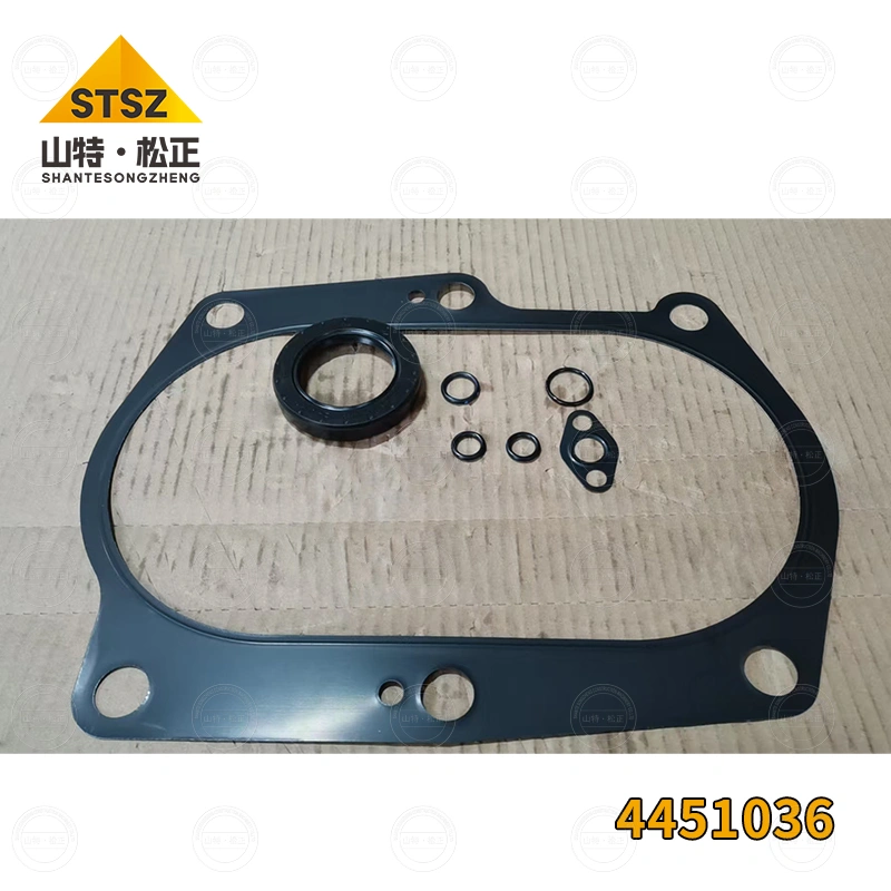 ハミカー出品 Excavator ZX200-3 Hydraulic Pump Repair Kit 4451036 China