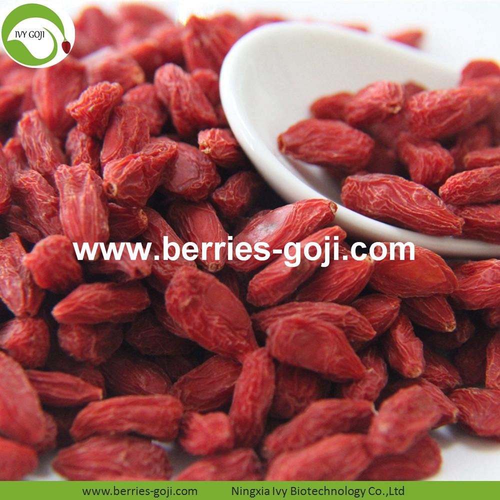 Conventional Goji Berries