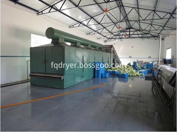 Mesh-Belt Dryer for Particle Shape Material