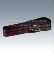 Violin Plywood Case