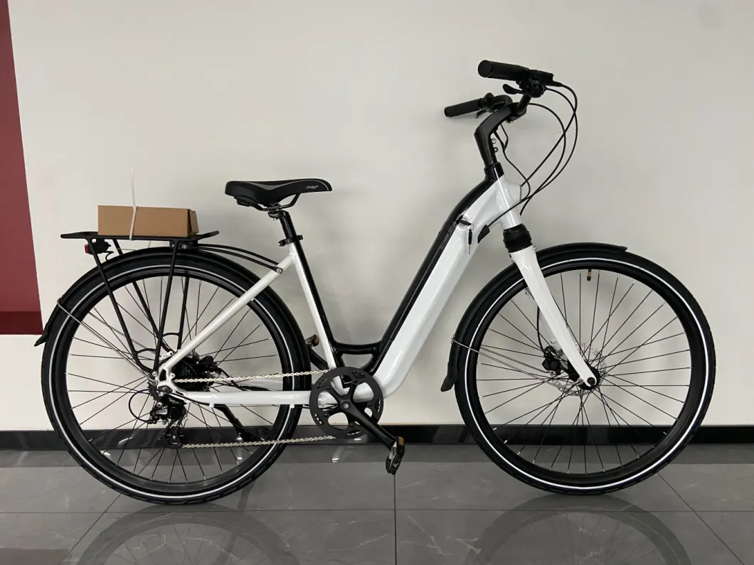 20 Inch Alumiunum Alloy Shimano 7speed Folding Bike W/V Brake