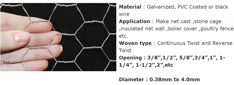 Hexagonal Wire Mesh x