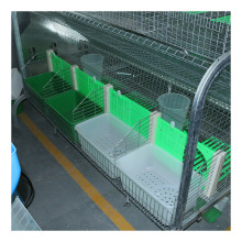 European Style Rabbit Breeding Farm Equipment - Industrial Meat Cage Rabbit Farming