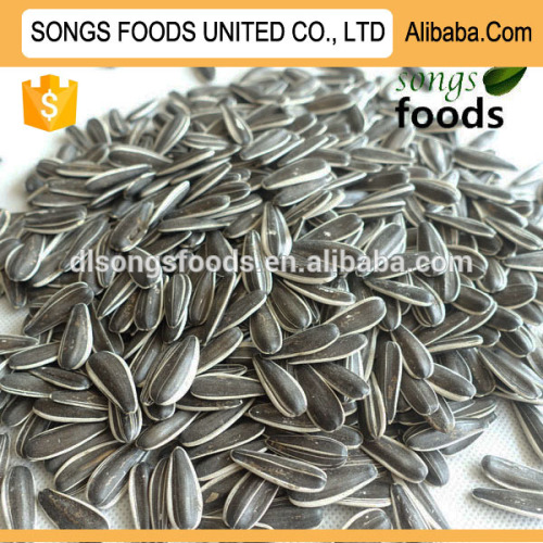 Chinese sunflower seeds suppliers