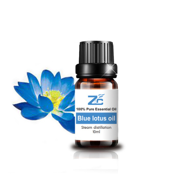 Wholesale bulk price blue lotus oil