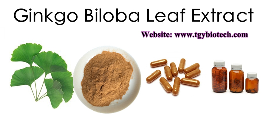 Ginkgo-Biloba-Leaf-Extract-