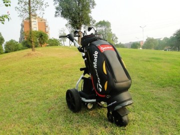 3 wheel golf cart,golf buggies for sale