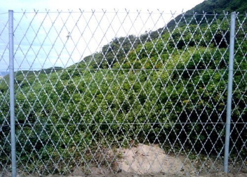 Razor Barbed Wire Mesh Fence