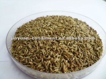 dry cumin seeds