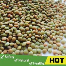 Qualified price of green lentils