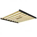 Luce progressiva a LED ad alto spettro completo PPFD 640W