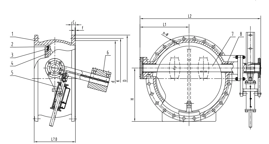 Butterfly Check Valve with Lever