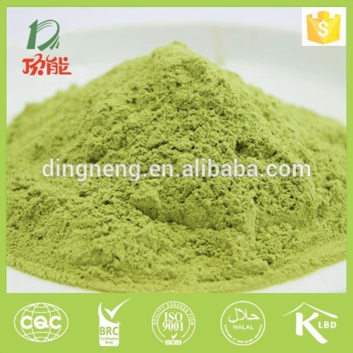 dried celery powder 80-120mesh 2015 crop base plant