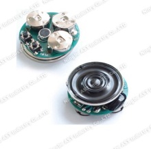 Waterproof Sound Module Waterproof Module