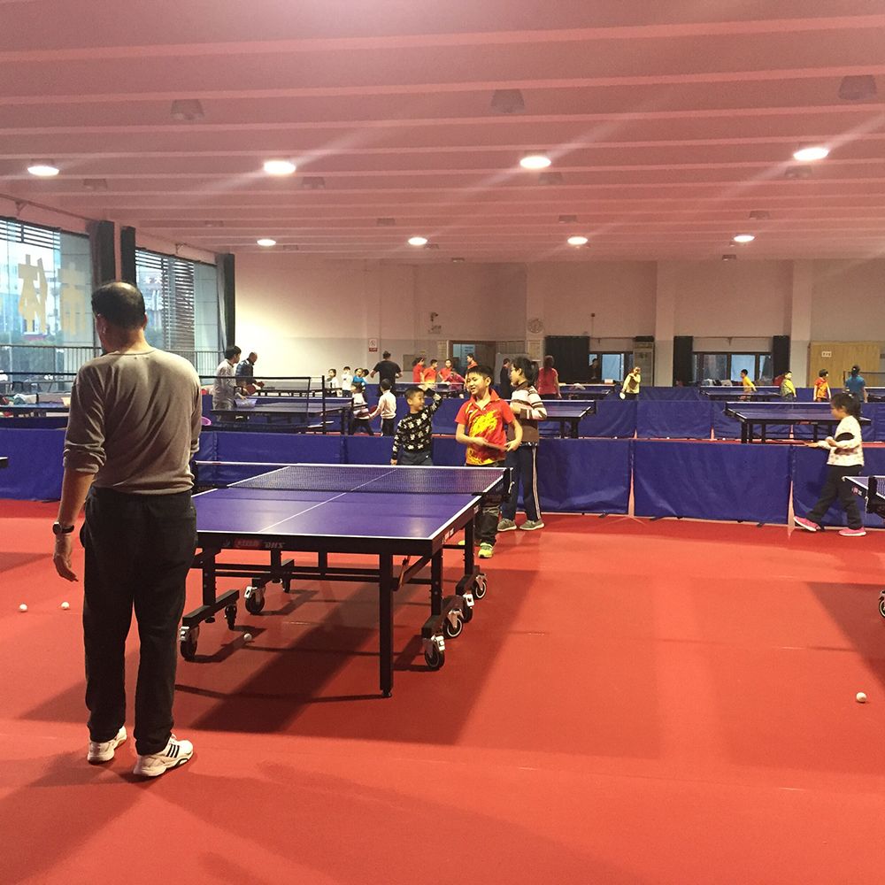 لعبة احترافية تستخدم أرضيات ملعب كرة بينج بانج