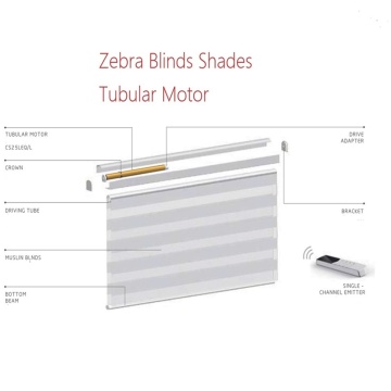 Electric Zebra Roller Sheer Blind