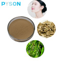 Natürliche White Willow Bark Skin Vorteile kosmetische Inhaltsstoffe