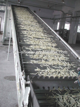 Frozen French Fries Potatoes Machine/Fresh Potato Chips Making Line
