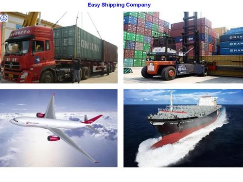 Efficient Sea Shipping/Air Freight /Express to North America