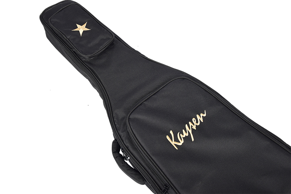 Oem Guitar Bag