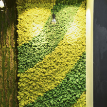 Factory Wholesale Natural Dried Stabilized Lichen and Moss for Decor