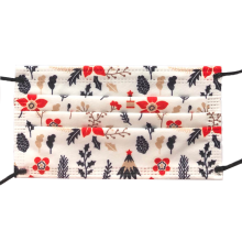 Christmas Flora Face Masks