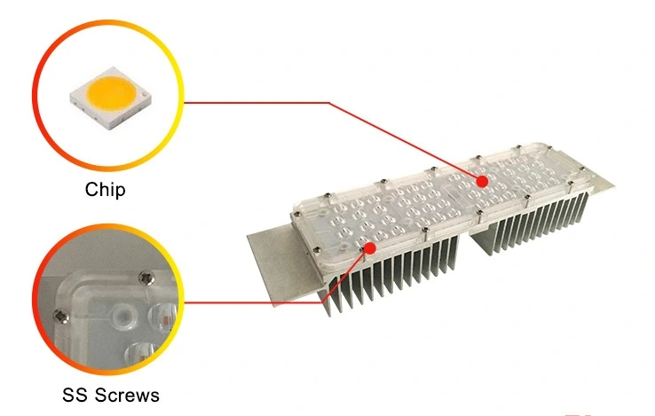 China Best Price LED Module AC with OEM Service