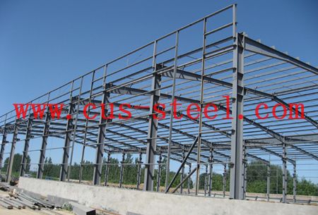 Steel Structure for Workshop and Warehouse