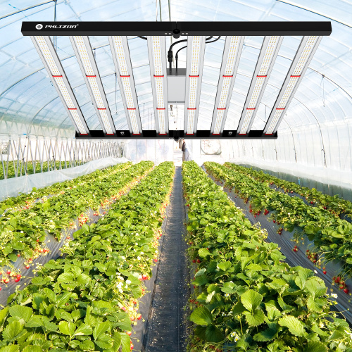Phlizon Foldable Grow Light 640W