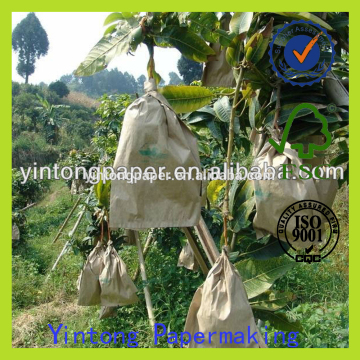fruit bag mango growing bag