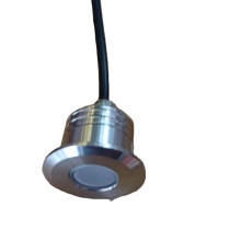 Customization Outdoor Waterproof Stainless Steel 1W DC12V Recessed Inground Mini Spotlight