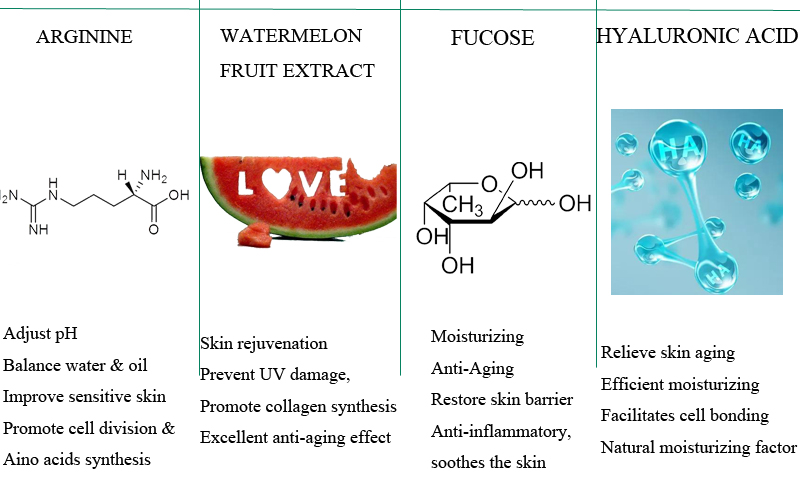 Watermelon Facial Toner Ingredients Jpg