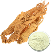 Ginseng Root Extract Powder Ginseng Powder