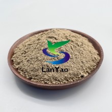 Nitrifying Bacteria Effective Wastewater Treatment