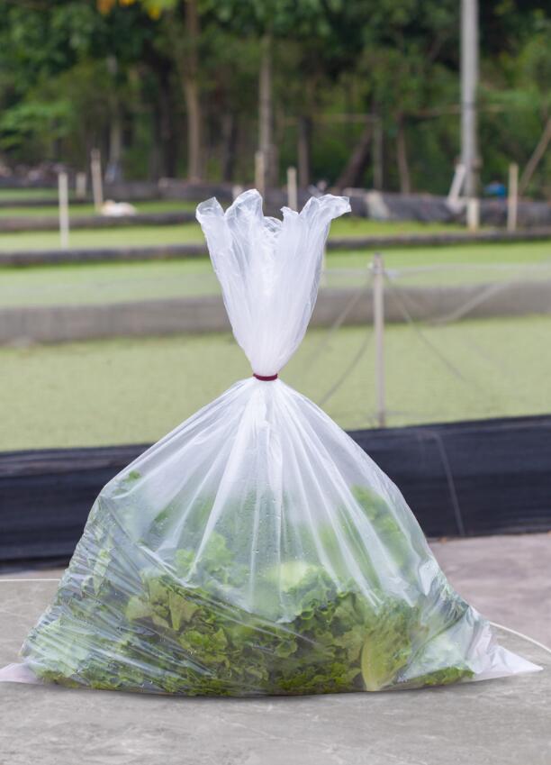 Large Size Plastic Bag