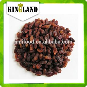 Dried fruits export black sultana raisins