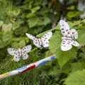 Clipart de papillon de Pâques