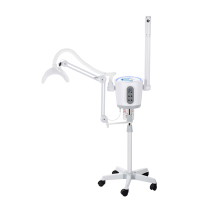 Professional PDT LED Light Therapy Facial Steamer Machine for Skin Rejuvenation