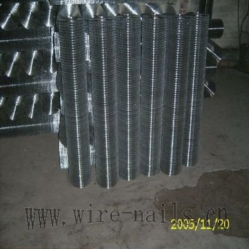 Galvanized Welded Wire Netting