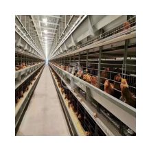 H-Type Eggs Chicken Cage Layer Breeding Cage for Nigeria Poultry Farm