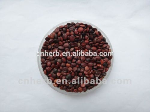 Semen Ziziphi Spinosae/Spina Date Seed/Suan Zao Ren/wild jujube seed