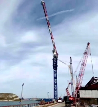 how much does a tower crane  service