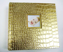 Family Style Photo Album